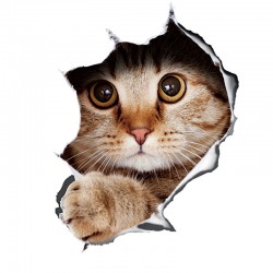 3D lipdukas "Katinukas" (13 x 17.5 cm)