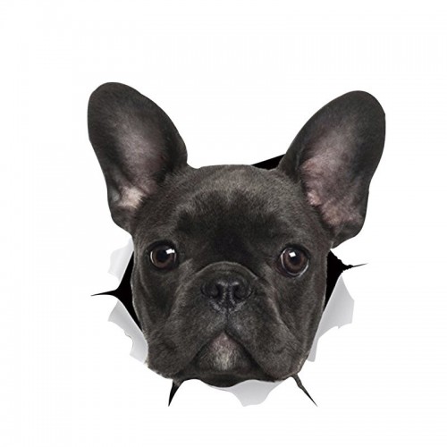 3D lipdukas "Šuo 2" (16.5 x 17.5 cm)