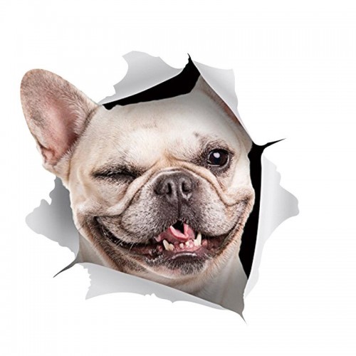 3D lipdukas "Šuo 3" (17.5 x 16.5 cm)