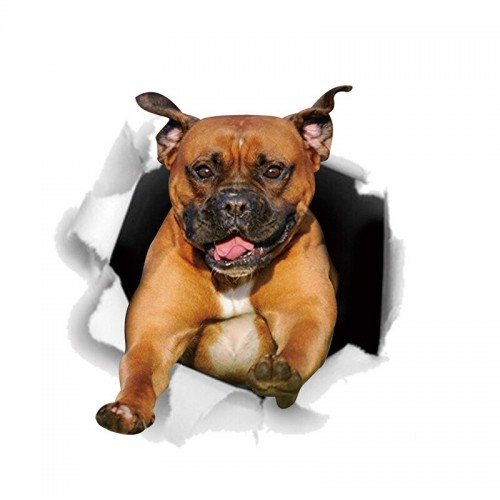 3D lipdukas "Šuo 4" (20 x 20 cm)