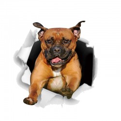 3D lipdukas "Šuo 4" (20 x 20 cm)