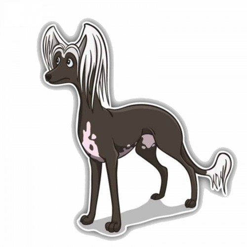 Lipdukas "Puikusis šuo" (15 x 6.5 cm)