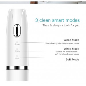 Elektroninis dantų šepetukas "EcoPro Luxury"