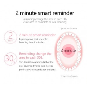 Elektroninis dantų šepetukas "EcoPro Luxury"