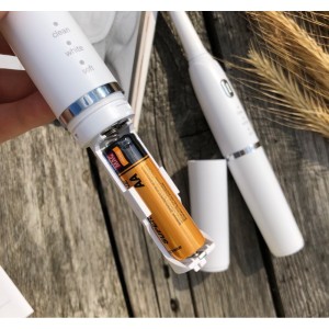 Elektroninis dantų šepetukas "EcoPro Luxury 2"