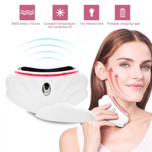 Elektroninis veido masažuoklis "Premium Deluxe"