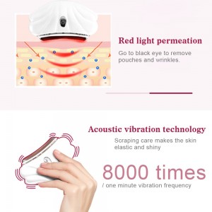 Elektroninis veido masažuoklis "Premium Deluxe"