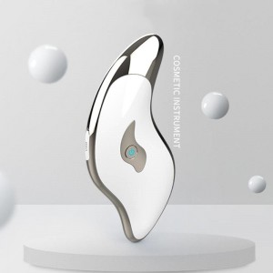 Elektroninis veido masažuoklis "Luxury 4"