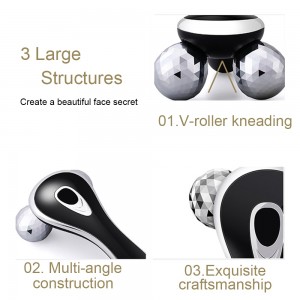 Veido ir kūno masažuoklis "Elite Pro 3"