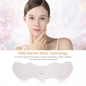 Elektroninis veido masažuoklis "Luxury Beauty Slimming 2"