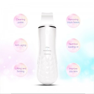 Ultragarsinis veido šveitiklis "Pro Skin Deluxe 2"