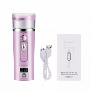 Elektroninis odos drėkintuvas "Beauty Care Pro 4"