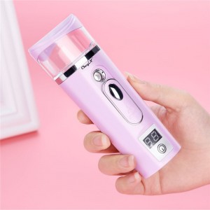 Elektroninis odos drėkintuvas "Beauty Care Pro 4"