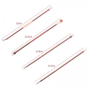 Veido odos valymo įrankių rinkinys "Beautiful Reborn Pro"