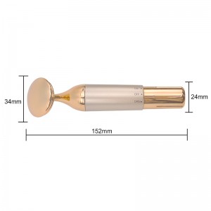 Elektroninis veido masažuoklis "Beautiful Reborn 5"