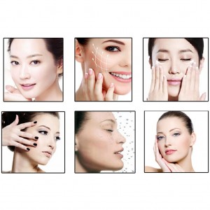 Elektroninis veido masažuoklis "Elegant Reborn 2"