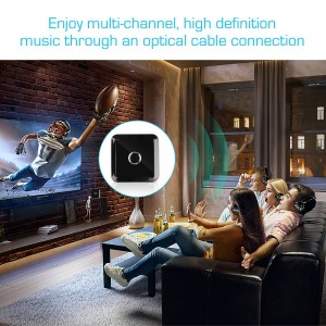 Bluetooth 4 siųstuvas "Pro Sound Dual 2" (Wireless USB AUX Bluetooth)