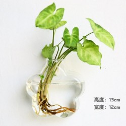 Pakabinama stiklinė vaza "Puikusis žiedas"