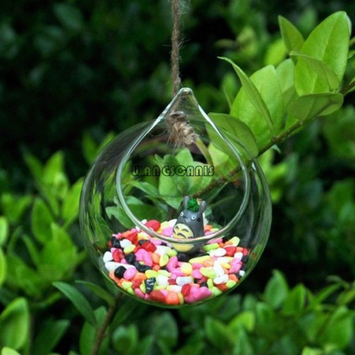 Pakabinama stiklinė vaza "Puikusis burbulas 5" (12 x 12 cm)