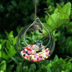 Pakabinama stiklinė vaza "Puikusis burbulas 5" (12 x 12 cm)