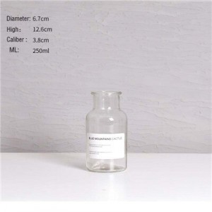 Stiklinė vaza "Senovės elegancija 8"