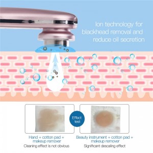 Fotonoterapinis veido masažuoklis "Premium Beauty Pro 8"