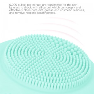 Elektroninis veido valiklis "Premium Beauty Pro 12"