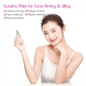 Veido masažuoklis "Beauty Rejuvenation Pro"