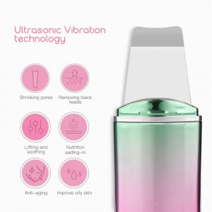 Ultragarsinis veido odos valiklis "Skin Rejuvenation Pro Deluxe"