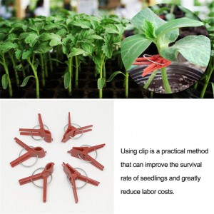 Augalų palaikymo segtukai "Tvirtuma 2" (50 vnt.)