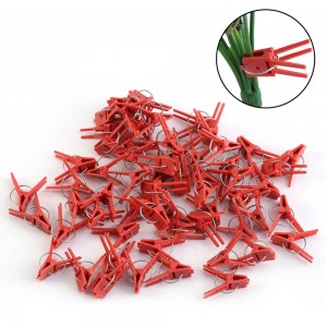 Augalų palaikymo segtukai "Tvirtuma" (50 vnt.