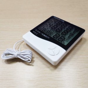 Skaitmeninis temperatūros matuoklis "Thermometer Pro 2"