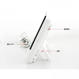 Skaitmeninis temperatūros matuoklis "Thermometer Pro 2"