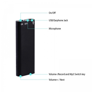 Diktofonas "Profesionalus seklys"