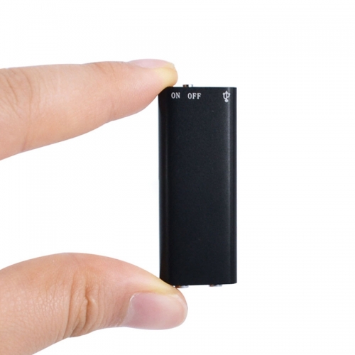 Diktofonas "Profesionalus seklys"