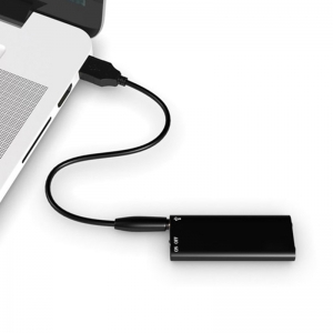 Diktofonas "Profesionalus seklys"