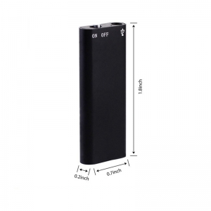 Diktofonas "Profesionalus seklys"