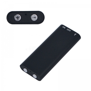 Diktofonas "Profesionalus seklys"