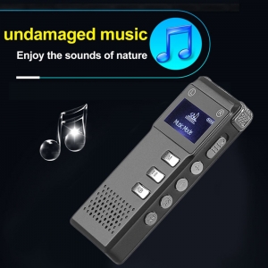 Diktofonas "Profesionalas 5"  (stereo)