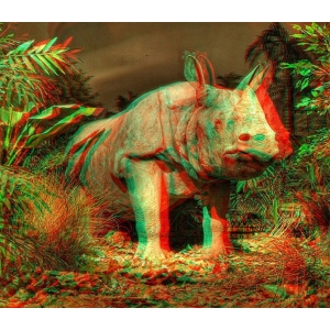 3D akiniai "3D vizija"