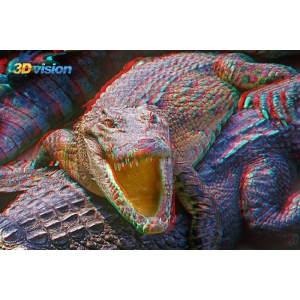 3D akiniai "3D vizija"