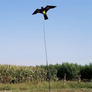 Paukščių baidytuvas "Flying Hawk Premium"
