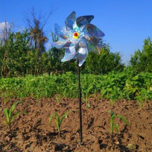 Paukščių baidytuvas "Ornamental Bird Scarer"