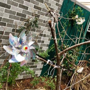 Paukščių baidytuvas "Ornamental Bird Scarer"