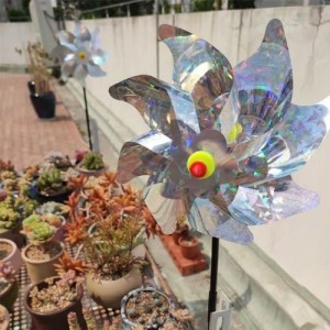 Paukščių baidytuvas "Ornamental Bird Scarer"