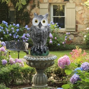 Paukščių baidytuvas "Owl Bird Scarer"