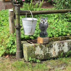 Paukščių baidytuvas "Owl Bird Scarer"