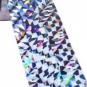 Paukščių baidytuvas "Holographic Bird Scarer" (2.