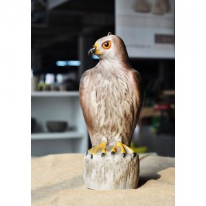 Paukščių baidytuvas "Hawk Bird Scarer"