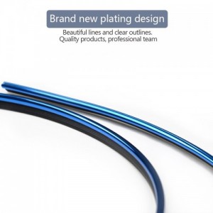 Dekoratyvinė vidaus apdailos juosta automobiliui "Renova